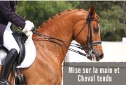 Cheval sur la main dans une équitation d'appui