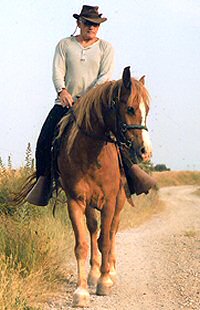 Une bonne impulsion aide votre cheval à porter du poids sur l’épaule extérieure