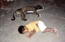 Mexique - Un chico y un perro un poco cansados !